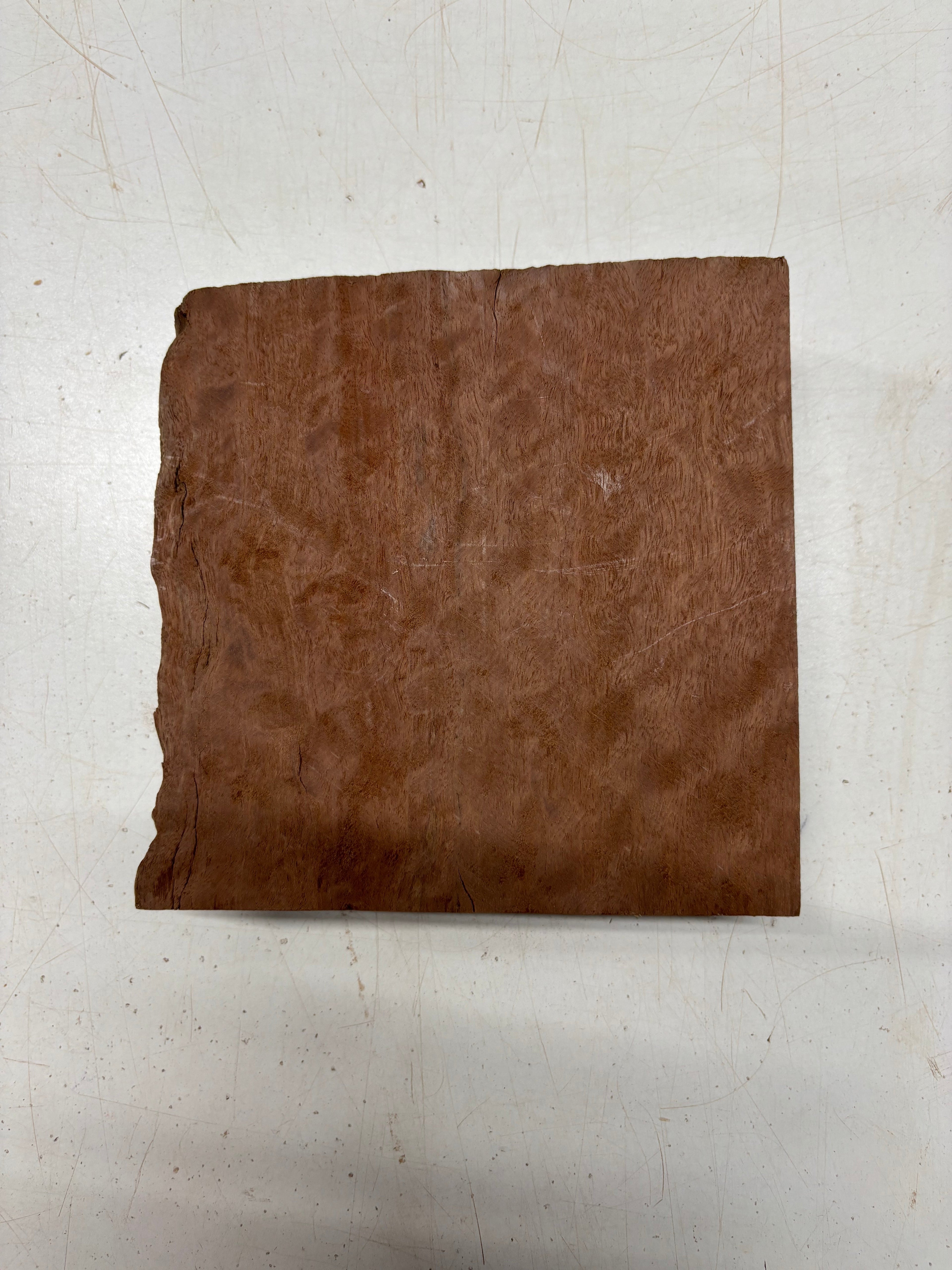 1 Piece, Flame Sydney Red Gum Burl Lumber Board Blank 6-1/2" x 5" x 2" #5416