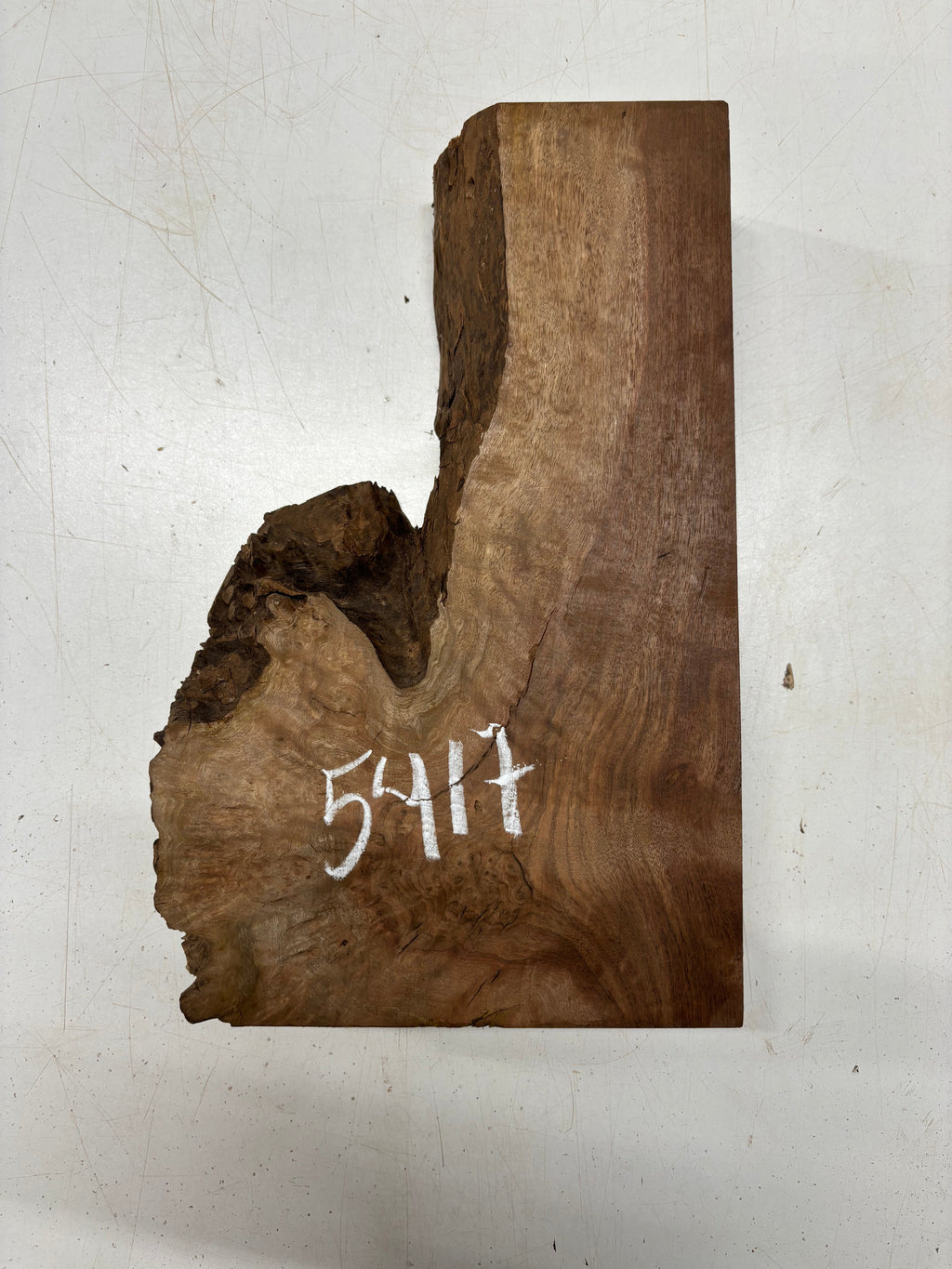 1 Piece, Chechen Bowl Blank  13" x 3-1/2" - 7-1/2" x 2-3/4" #5417