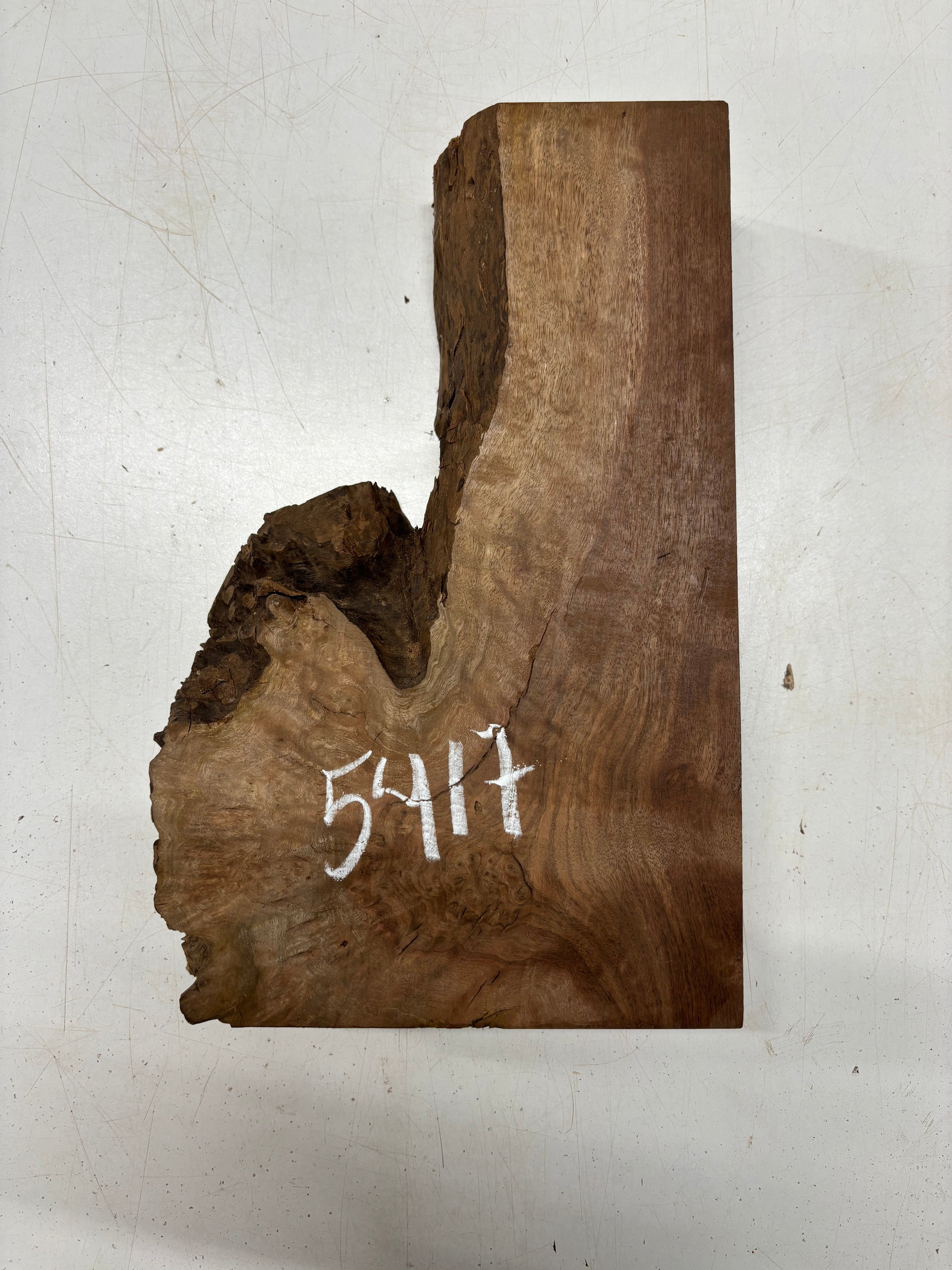 1 Piece, Chechen Bowl Blank  13" x 3-1/2" - 7-1/2" x 2-3/4" #5417