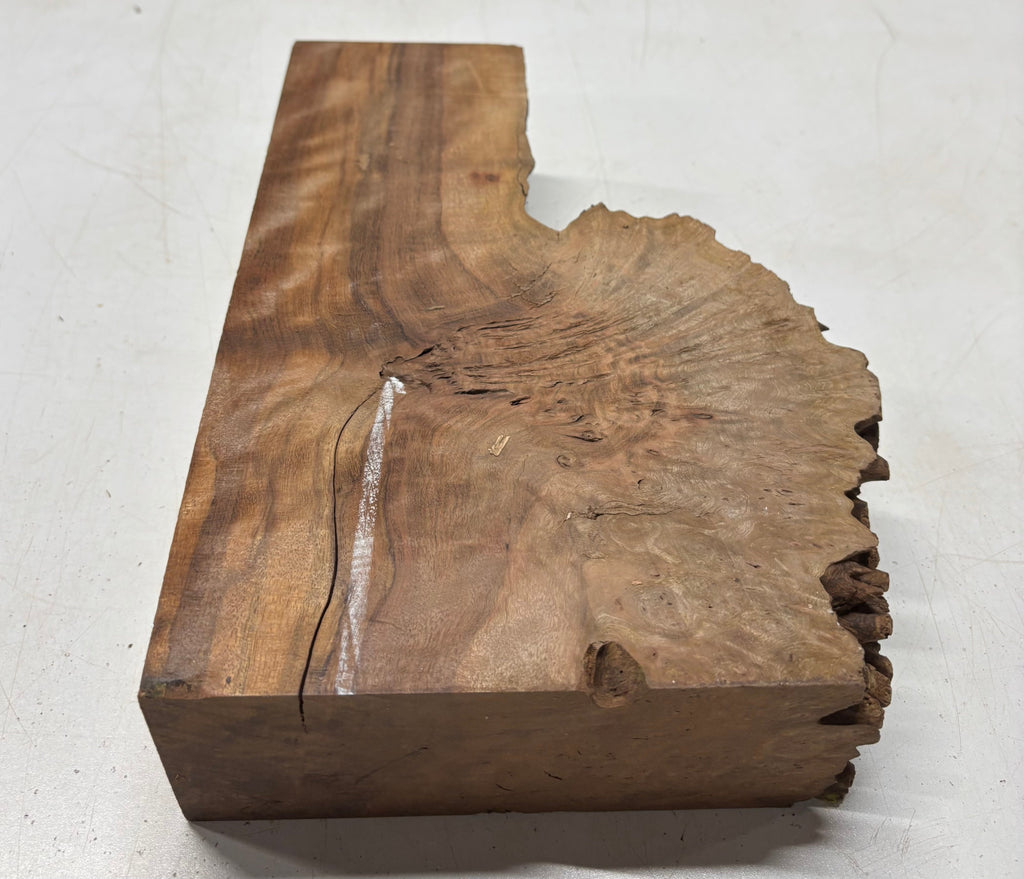 1 Piece, Chechen Bowl Blank  13" x 3-1/2" - 7-1/2" x 2-3/4" #5417